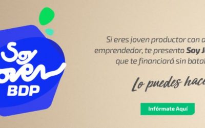 Guía para acceder al crédito Soy Joven BDP