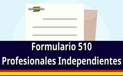 Guía para llenar el Formulario 510 de Profesionales Independientes